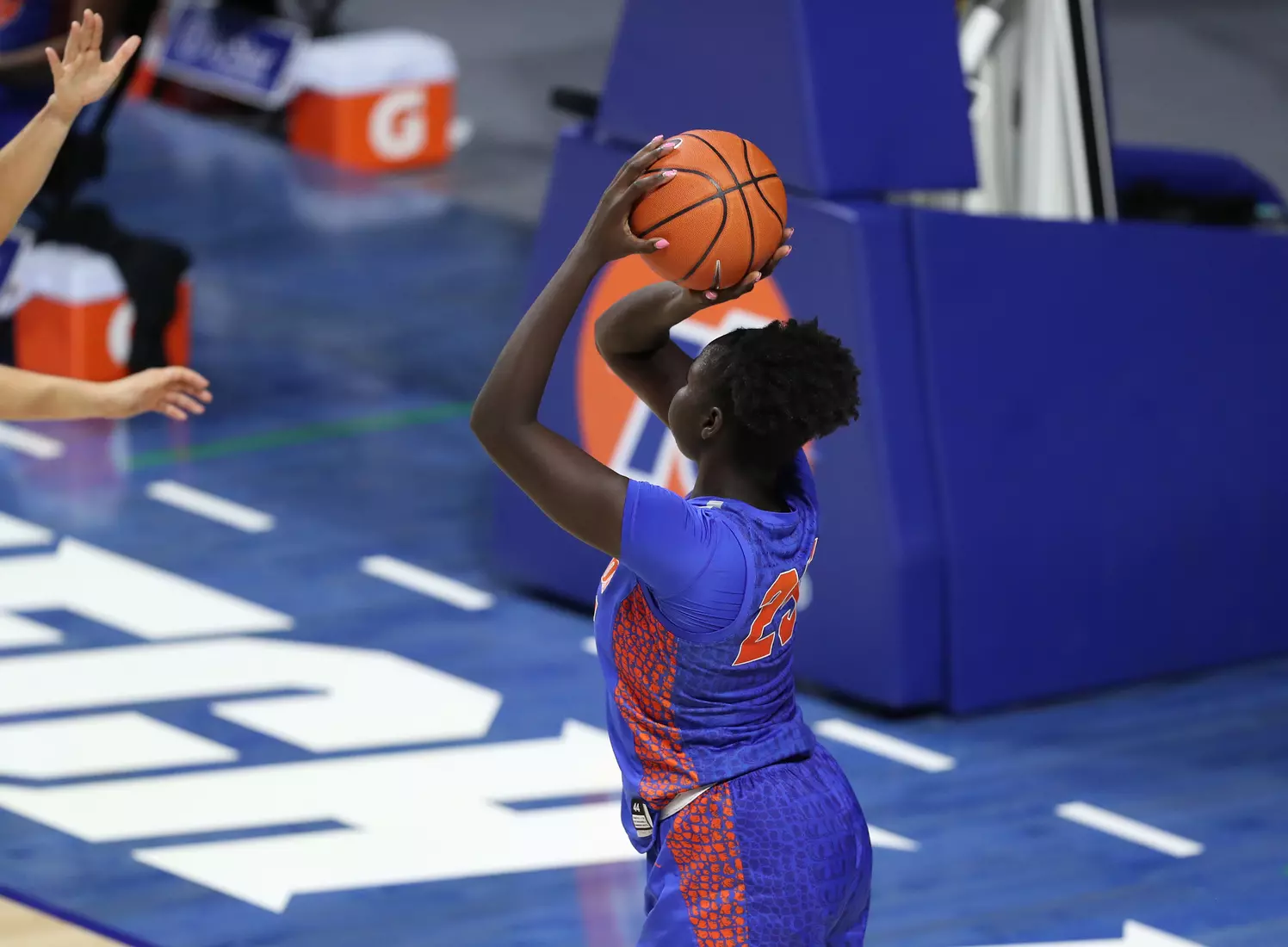 Scenes from the Gators' 88-76 against the Owls at Exactech Arena at the Stephen C. O'Connell Center