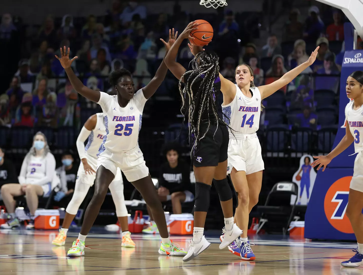 Scenes from the Gators' 84-52 win against the Texans
