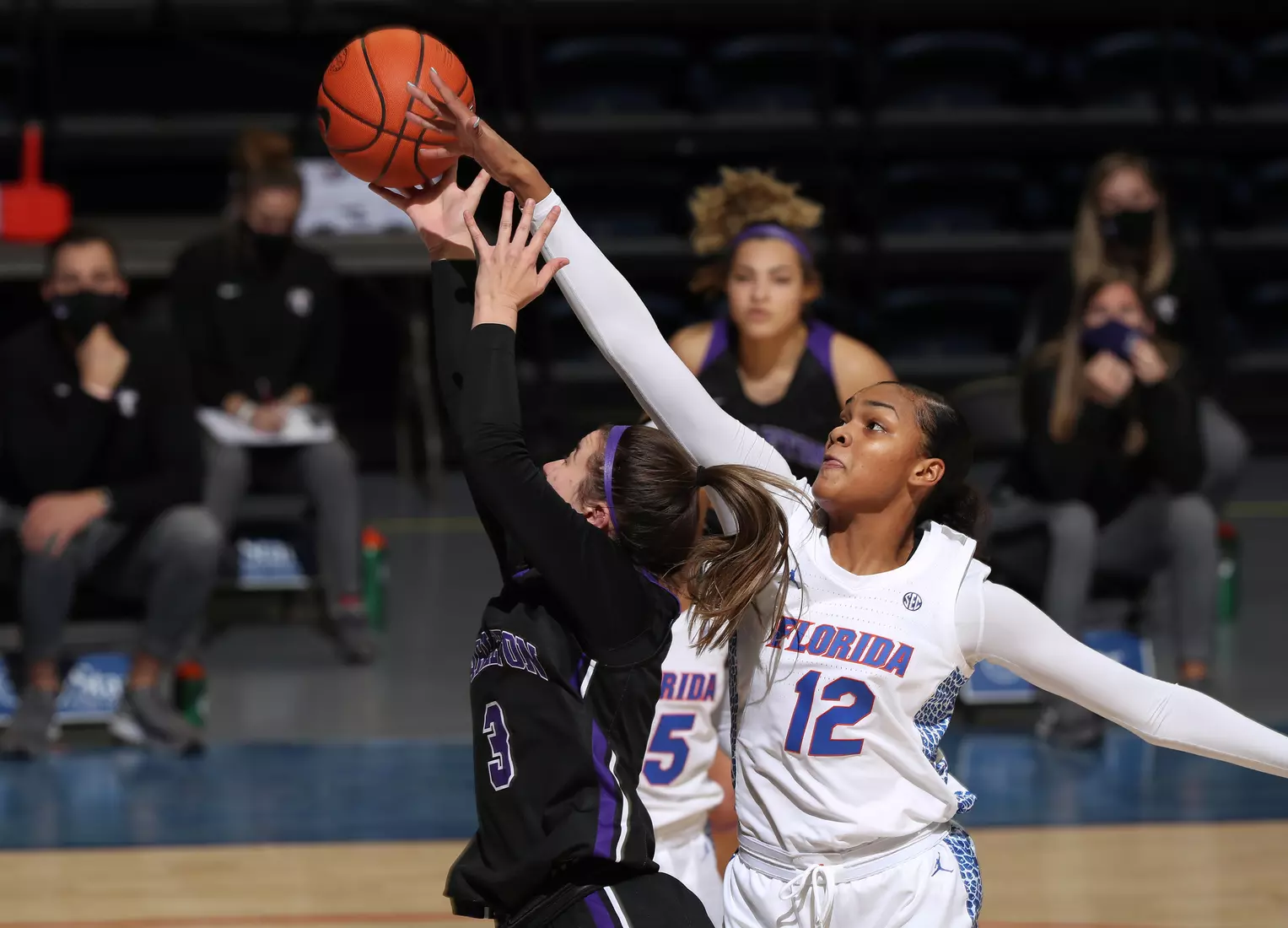 Scenes from the Gators' 84-52 win against the Texans