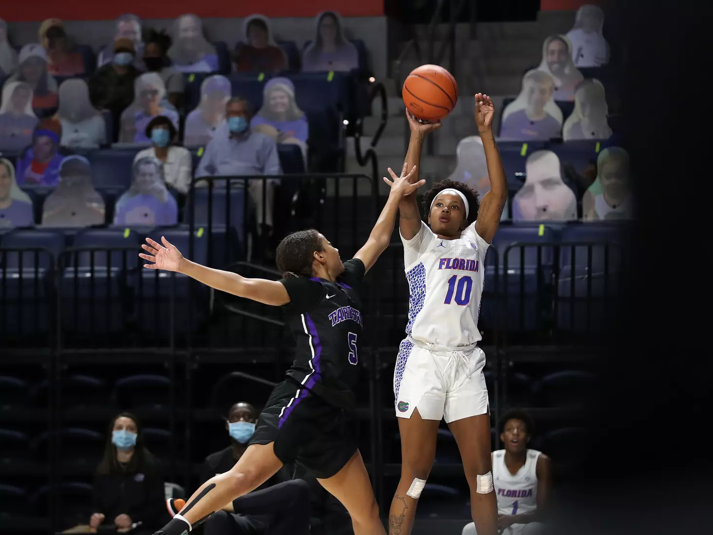 Scenes from the Gators' 84-52 win against the Texans