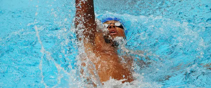 Florida Swimming and Diving Falls to Florida State