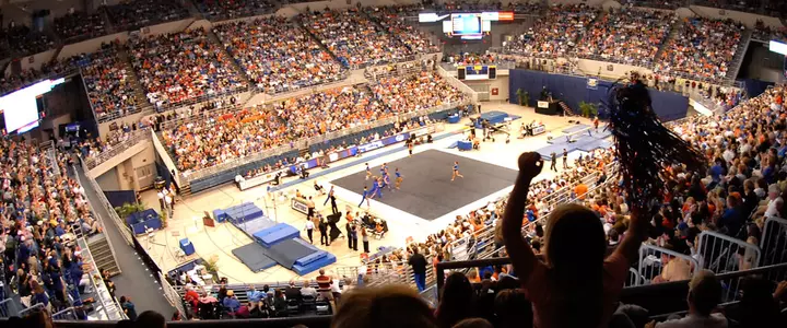 Incoming Freshmen Gymnasts Earn Spots on USA Senior National Team