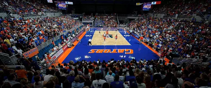 Volleyball Hosts City of Gainesville Night on Friday