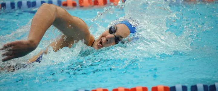 Florida Swimming and Diving Edged by Auburn
