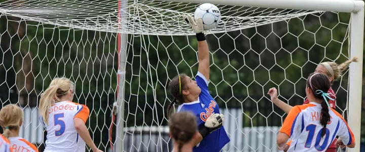 Feature on Brooke Chancey Part of Wednesday's GatorZone