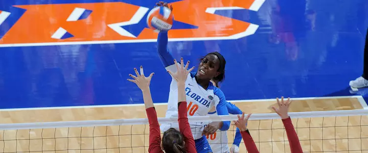 No. 19 Gator Volleyball Earns Season Sweep of LSU Behind Mann's Record-Breaking .900 Performance