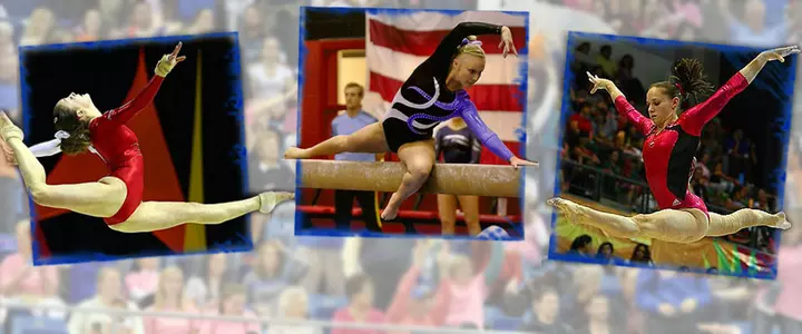 Standout Class to Join Gator Gymnastics Team