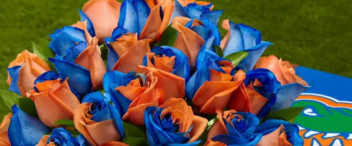 FTD Showcases Florida Roses as Part of College Rose Collection