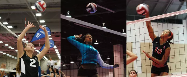 Florida Volleyball Signs Three for 2012 Campaign