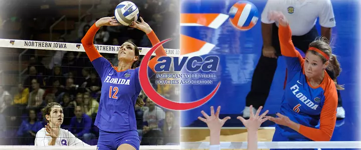 Gator Volleyball's Jaeckel and Murphy Earn AVCA All-America Honors