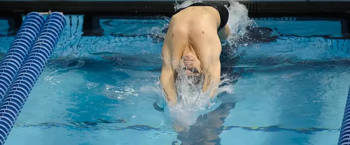 Gators Win Five SEC Titles and Break Two SEC & School Records on Day Three of SEC Championships