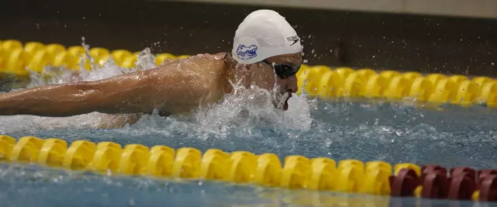 Three Florida Swimmers Qualify for Finals on Last Day of NCAA Championships