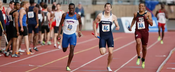 Gators Continue Penn Relays Success