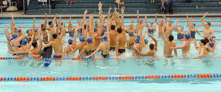Seniors Finish In Style As Gators Swim Past Auburn In Home Finale