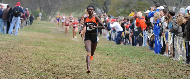 Florida XC Sets Out for Top-Two Finishes at NCAA South Region Championship Friday in Tallahassee