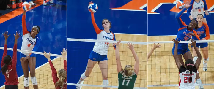 Three Florida Volleyball Players Named to CoSIDA Academic All-District Teams