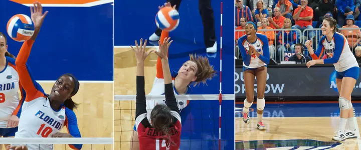 AVCA Recognizes Four Gators as Mann and Recek Earn High Honors