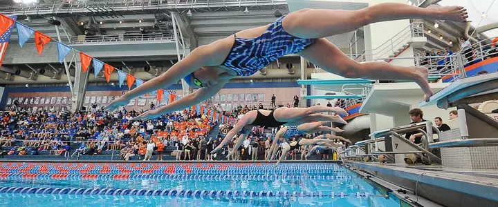 Gators Seek Quick Times at Last Chance Meet
