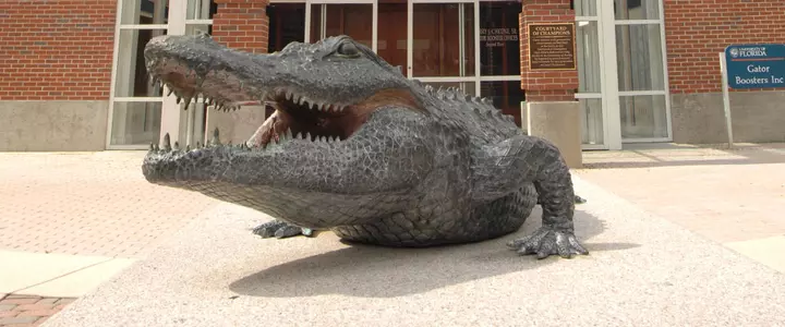 Gators Place 48 on SEC Winter Academic Honor Roll