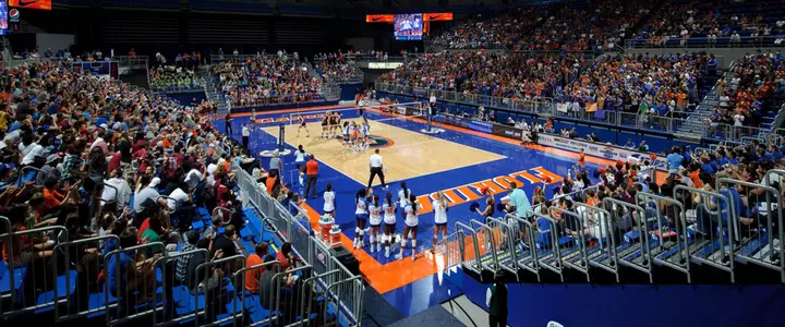 Florida Volleyball Ranked No. 18 in AVCA Preseason Poll