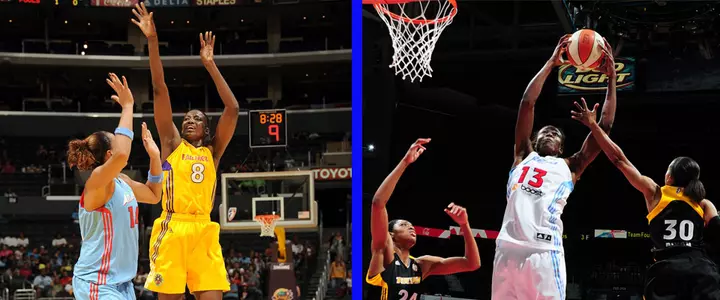 Eight days until title chase begins for WNBA Gators ? Sept. 19 Update