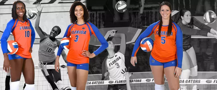 Gators Sweep SEC Volleyball Weekly Awards
