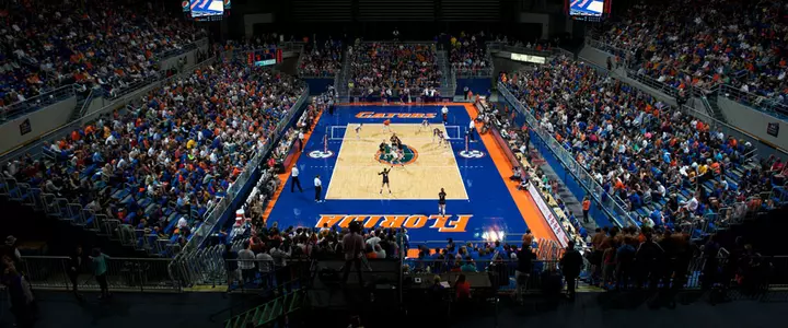 No. 5 Seed Gators Embark on NCAA Postseason Journey Thursday