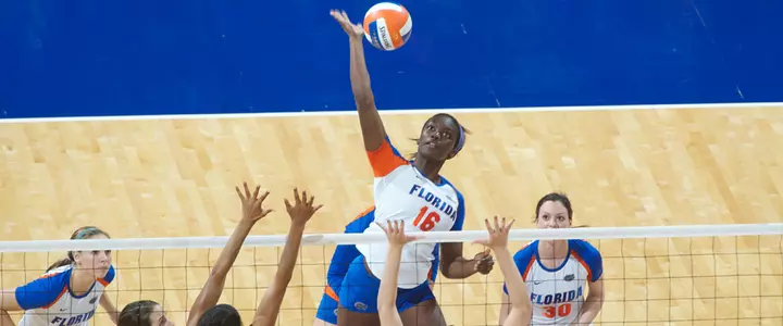 Five Gators to Participate in USA Tryouts