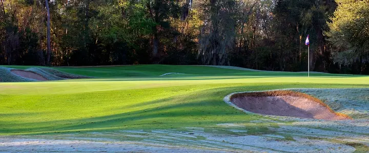 Final Round Cancelled; Gators Finish in Fourth at the John Hayt Collegiate Invitational