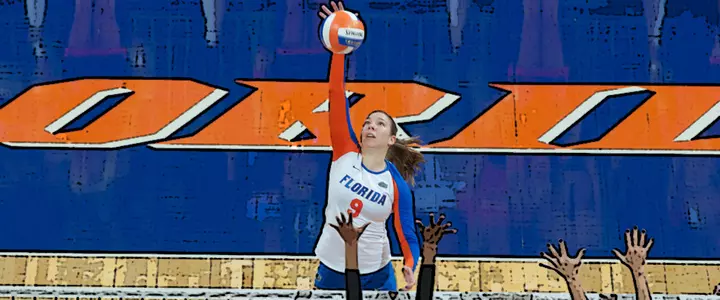 Busy Summer Ahead for Four Volleyball Gators