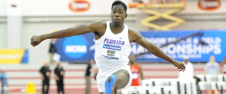 Gators Head to Tallahassee for Seminole Twilight