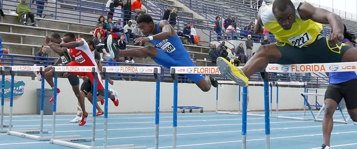 Gators Primed for NCAA East Preliminary Round