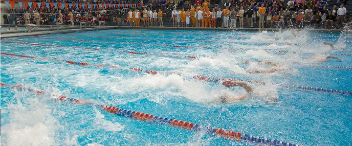 Gators to Collect Goods for US Troops at Pinch A Penny All Florida Invite