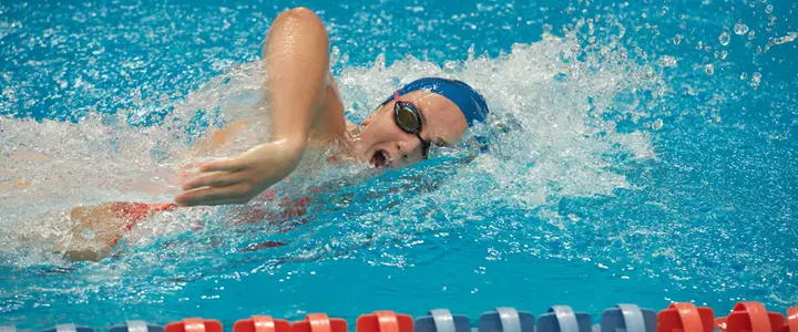 Florida Swimming and Diving Sweeps FAU at Home