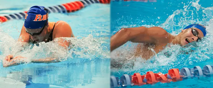 Three Gators Named SEC Swimmers of the Week Following Florida Sweep of FSU