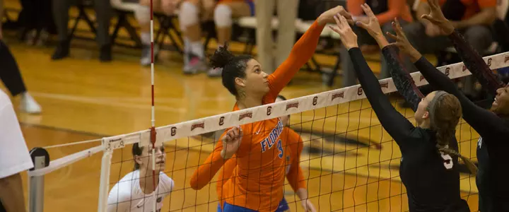 No. 8 Florida Volleyball Runs Win Streak to Eight Matches with 3-1 Victory at South Carolina