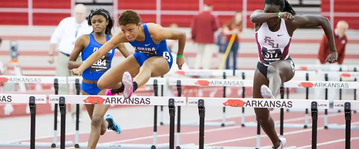 Gators Split Coast to Coast for Feb. 14-15 Competition