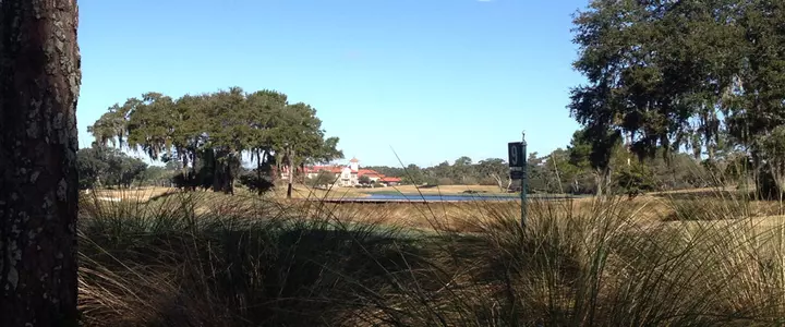 Gators Tied for Fifth After Round One at the Sea Best Invitational