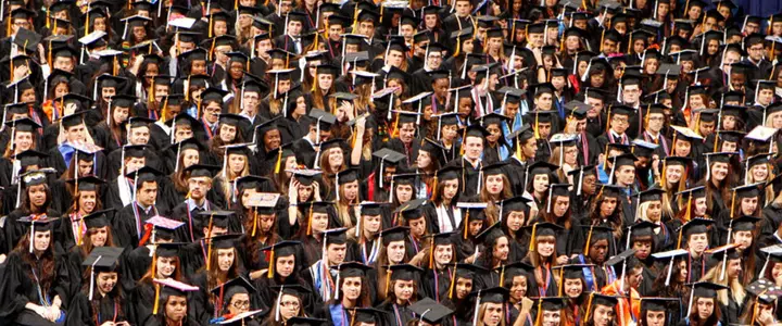 Three UF Teams Earn NCAA Recognition for Academic Success