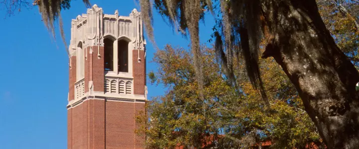 Florida Places 56 on SEC First-Year Academic Honor Roll