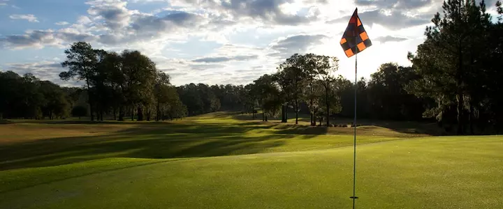 Gators Ryan Orr and Conor Richardson Claim FSGA Four-Ball Championship