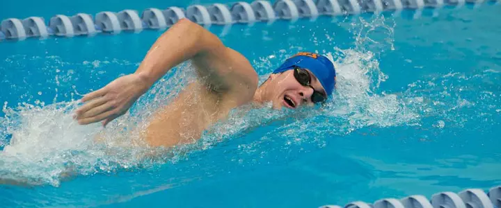Gators Compete at European and Pan Pacific Championships