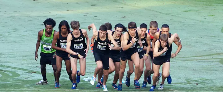 Gator Cross Country Teams Appear in USTFCCCA Regional Preseason Rankings