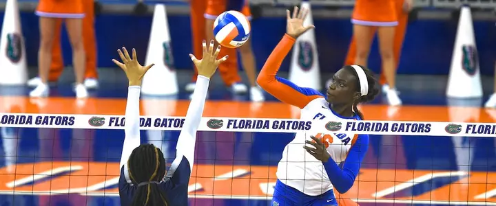 No. 10 Gator Volleyball Sweeps Ole Miss, Opens SEC Play 2-0