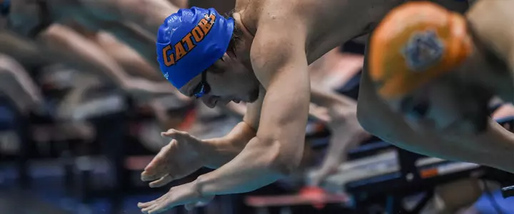 Florida Sweeps SEC-Rival Auburn for Second Consecutive Season