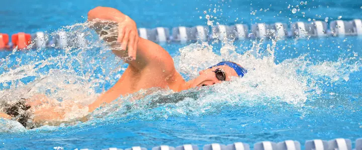 Gators Begin the New Year with Sweep over Ranked Florida State Teams