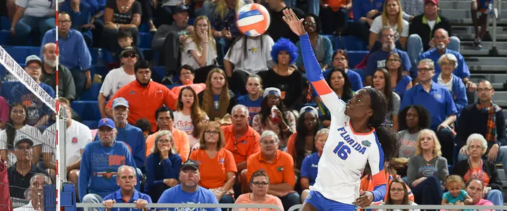 No. 15 Gators Roll, Sweep Crimson Tide Friday
