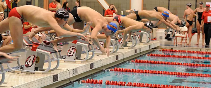 Gators Set for 2015 FINA World Championships