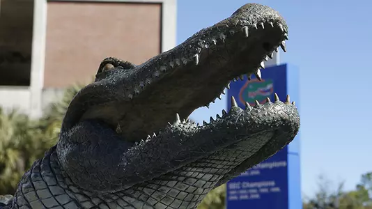 Bull Gator statue
