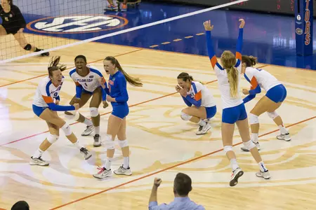 Volleyball Happy Gators